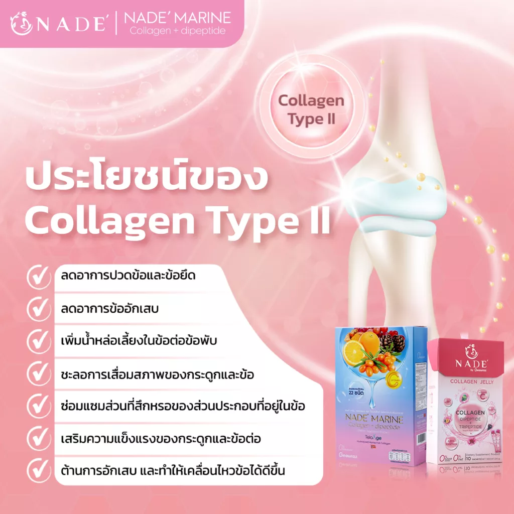 Collagen Type II